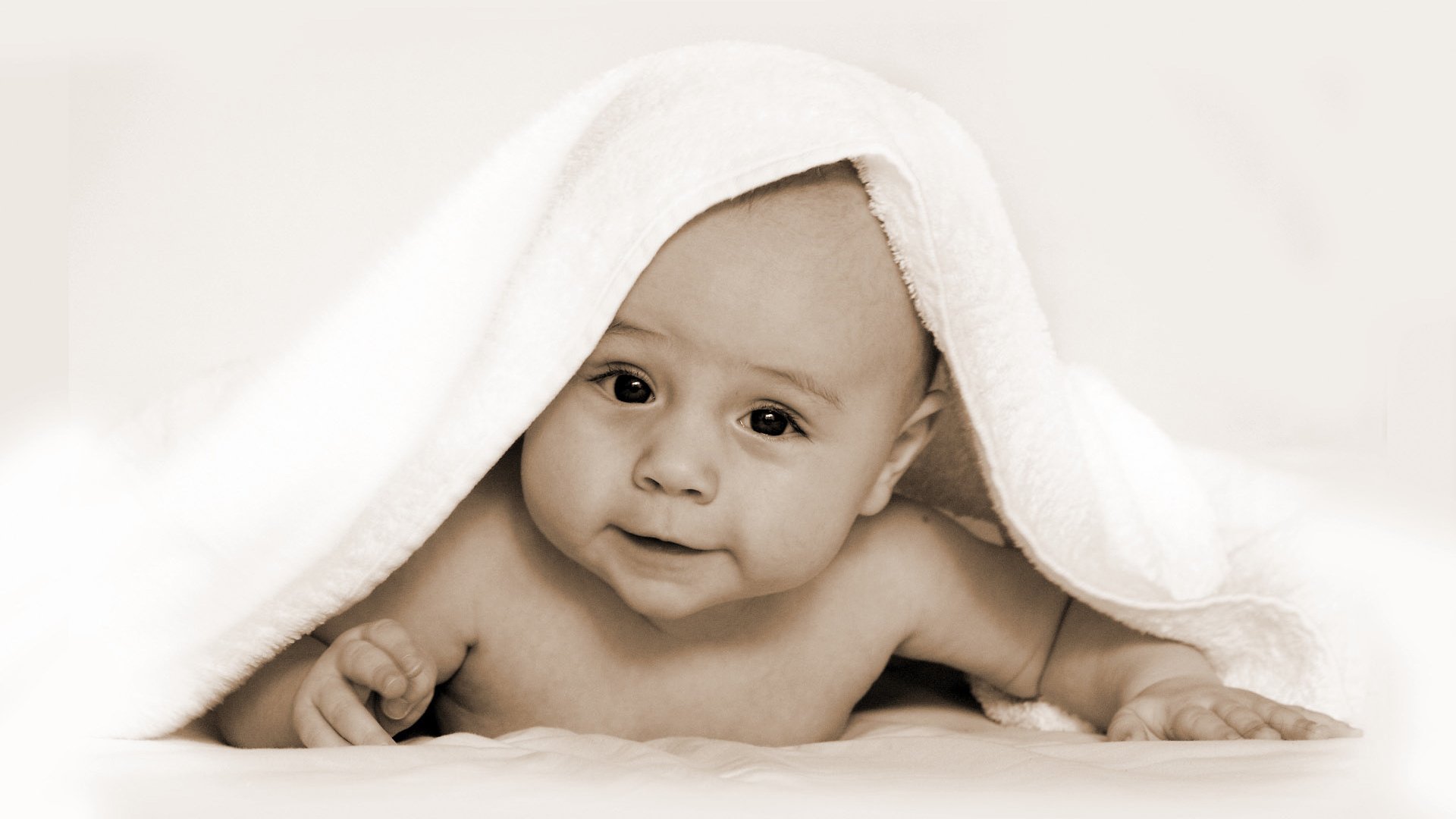 长沙有偿捐卵联系提高试管婴儿成功率